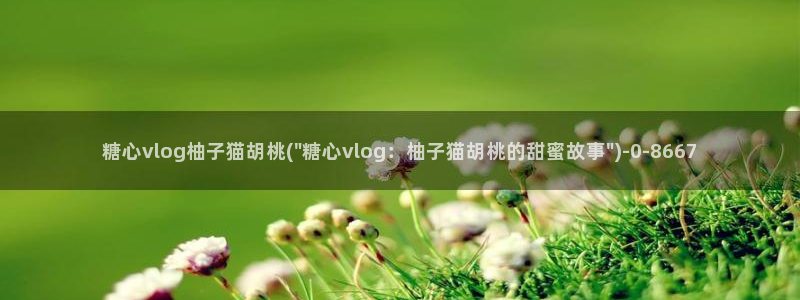 糖心vlog 多乙资料