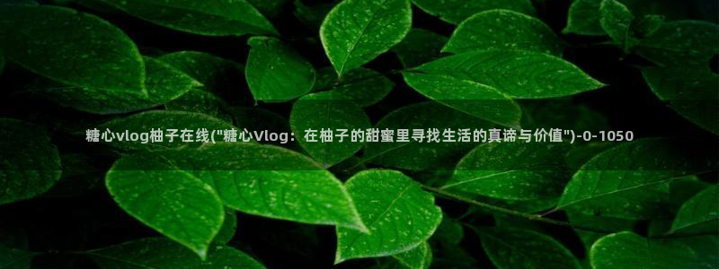 糖心vlog视频播放