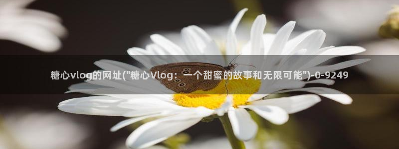 糖心vlog柚子在线