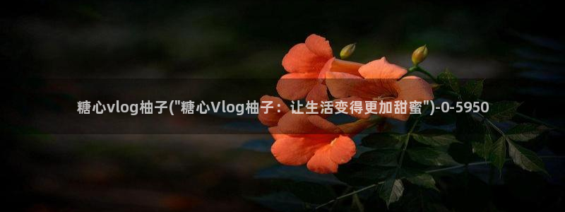 国产糖心vlog网址