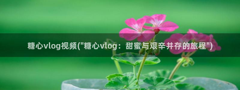 糖心vlog中秋玉兔：糖心vlog视频(\